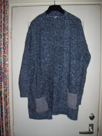 Vest grijs met 2 zakjes  (M)38 H&M  beschikbaar voor biedingen