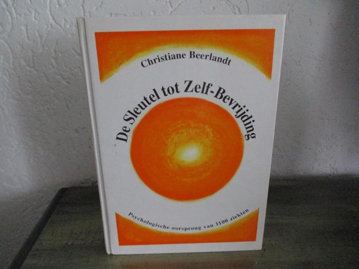 De sleutel tot zelfbevrijding  Christiane Beerlandt, Boeken, Psychologie, Zo goed als nieuw, Ophalen of Verzenden