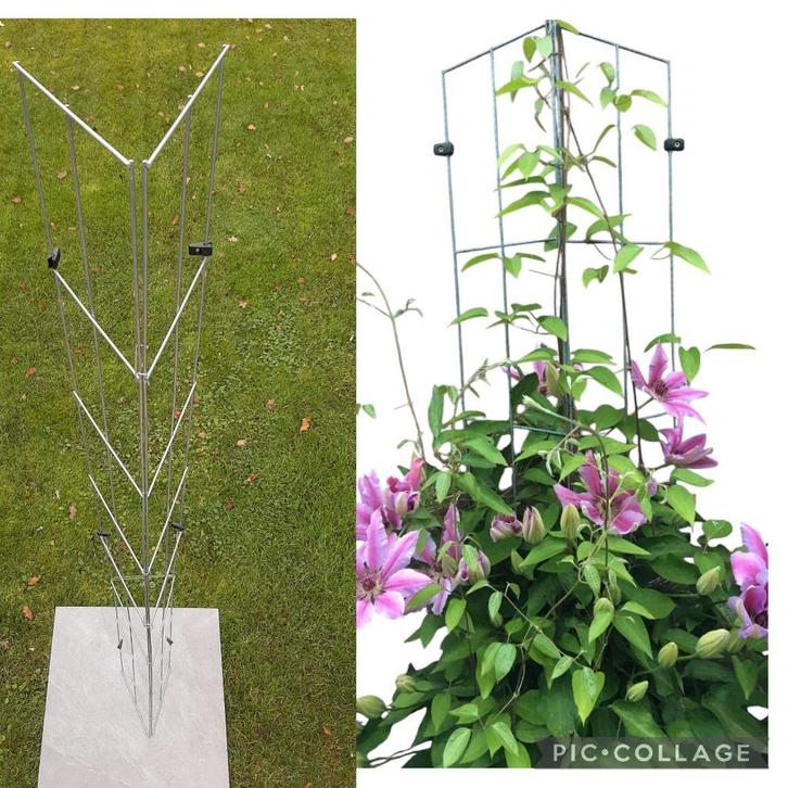 Tuinrekken clematis tegen de schutting en muren, Tuin en Terras, Tuinwanddecoratie, Nieuw, Ophalen of Verzenden