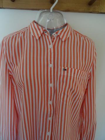 Tommy Hifiger dames blouse mt M z.g.a.n beschikbaar voor biedingen