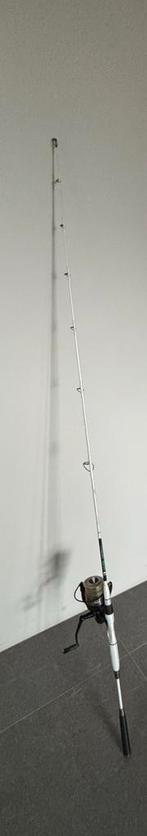 Meerval hengel set, Watersport en Boten, Ophalen of Verzenden, Zo goed als nieuw, Werphengel