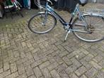 Gazelle damesfiets, Ophalen, Versnellingen, Gazelle, 53 tot 56 cm