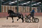 Prachtige Friese Stermerrie, Dieren en Toebehoren, Merrie, Gechipt, Dressuurpaard, Zadelmak