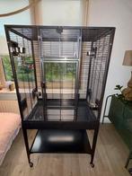 *NIEUW* Montana Madeira Single vogelkooi (nieuwprijs €240), Dieren en Toebehoren, Ophalen, Nieuw, Metaal, Vogelkooi