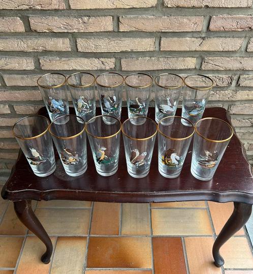 12 bierglazen met roofvogelprint, Verzamelen, Glas en Borrelglaasjes, Nieuw, Bierglas, Ophalen of Verzenden