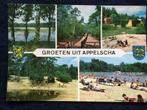 Ansichtkaart Appelscha - De Roggeberg, Ophalen of Verzenden, 1960 tot 1980, Gelopen, Friesland