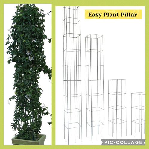 PLANTENSTEUN voor rozen clematis bosrank jasmijn passieflora, Tuin en Terras, Planten | Tuinplanten, Vaste plant, Klimplanten