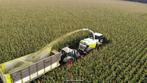 Mais op stam (12.00 ha) / omg. Uden / Boekel, Ophalen