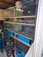 Aqurium stelling 2 meter, Dieren en Toebehoren, Vissen | Aquaria en Toebehoren, Ophalen, Gebruikt, Leeg aquarium