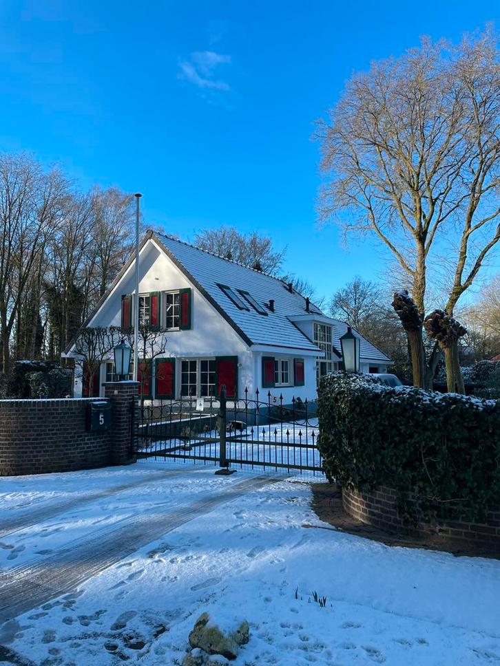 Zware kwaliteit sierpoort van staal, opknapper, Tuin en Terras, Tuinpoorten, Gebruikt, Draaipoort, IJzer, 150 tot 200 cm, 200 cm of meer