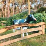 Kunststof dieren, Holstein koe beeld, Holstein Friesian koe, Ophalen, Nieuw, Kunststof, Dierenbeeld
