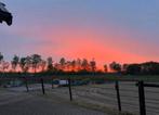 Pensionstalling paddock paradise Nistelrode, Dieren en Toebehoren, Stalling en Weidegang, Weidegang, 4 paarden of pony's of meer