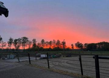 Pensionstalling paddock paradise Nistelrode beschikbaar voor biedingen