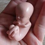 3D foetus baby op schaal tijdens zwangerschap, Ophalen of Verzenden, Zo goed als nieuw