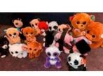 Ty beanie boo nieuw beren, Ophalen of Verzenden, Nieuw, Beer