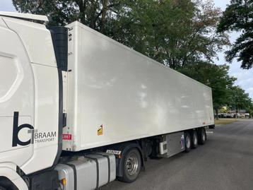 Pacton Pacton Z3-002 2 Stuks op voorraad. Prijs per stuk beschikbaar voor biedingen