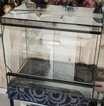 Terrarium 60x40x50, Ophalen, Zo goed als nieuw, Terrarium of Paludarium