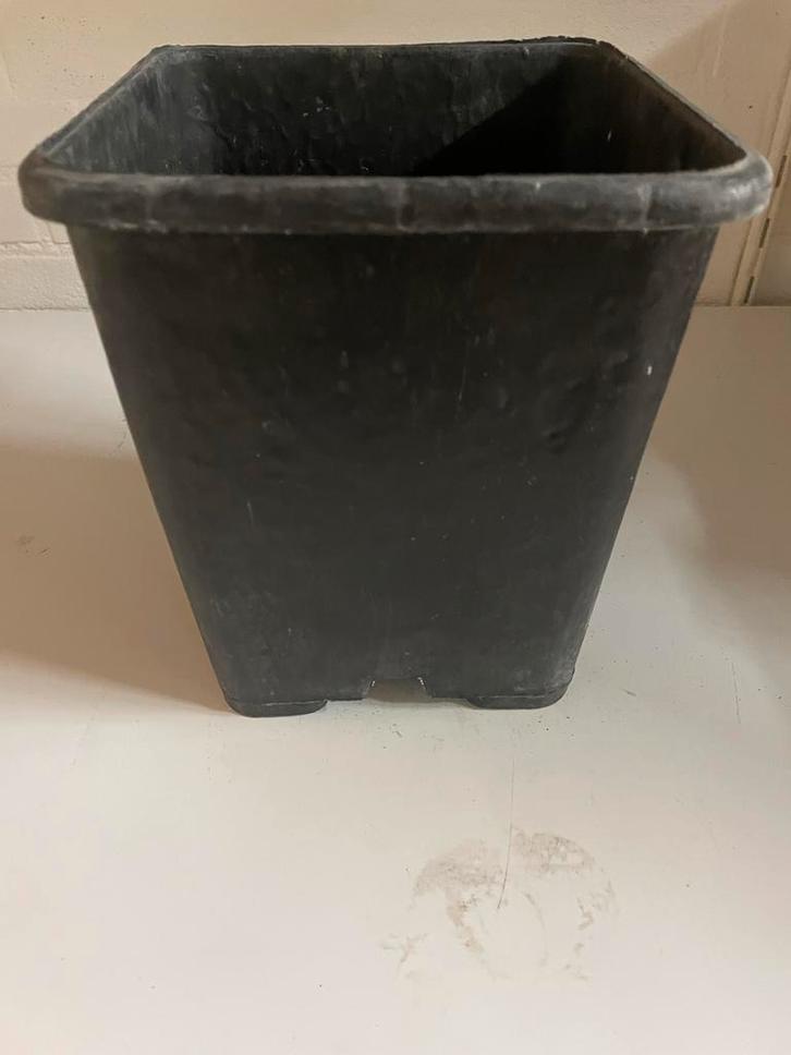 30 Kweekpotten - Ideaal voor zaaien en stekken!, Tuin en Terras, Bloempotten, Gebruikt, Kunststof, Binnen, Minder dan 40 cm, Minder dan 25 cm