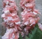 RIDDERSPOOR - KUNST - ROZE, Ophalen of Verzenden, Nieuw