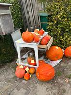 Pompoenen, Ophalen of Verzenden, Zo goed als nieuw