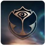 Ruilen TOMORROWLAND bracelets (zondag W2), Tickets en Kaartjes, Evenementen en Festivals, Twee personen