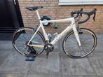 Isaac Boson Dual 30 carbon Ultergra, Carbon, Zo goed als nieuw, Meer dan 20 versnellingen, 53 tot 57 cm