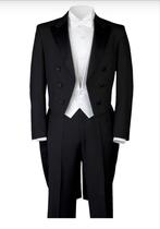 Rokkostuum jas (52) - Zo goed als nieuw!, Kleding | Heren, Kostuums en Colberts, Ophalen of Verzenden, Zo goed als nieuw, Maat 52/54 (L)