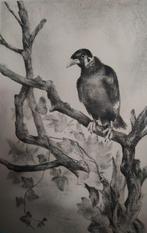 Aart van Dobbenburgh - Litho Vogel op Tak, Verzenden