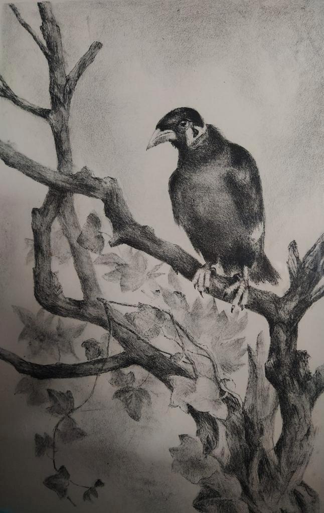 Aart van Dobbenburgh - Litho Vogel op Tak, Antiek en Kunst, Kunst | Tekeningen en Foto's, Verzenden