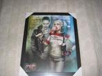 Poster in lijst The Joker + Harley Quinn (nieuw in seal), Ophalen, Nieuw, Film, Poster