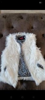 Coolcat bodywarmer netjes 110/116, Kleding | Dames, Bodywarmers, Ophalen of Verzenden, Zo goed als nieuw, Maat 34 (XS) of kleiner