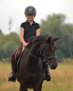 Allround E pony  te koop., Dieren en Toebehoren, Pony's, B, Gechipt, Springpony, 7 tot 10 jaar