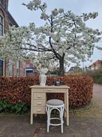 Retro vintage bureau, werkplek, desk, schrijftafel, tafel, Ophalen, Gebruikt, Vintage, Bureau