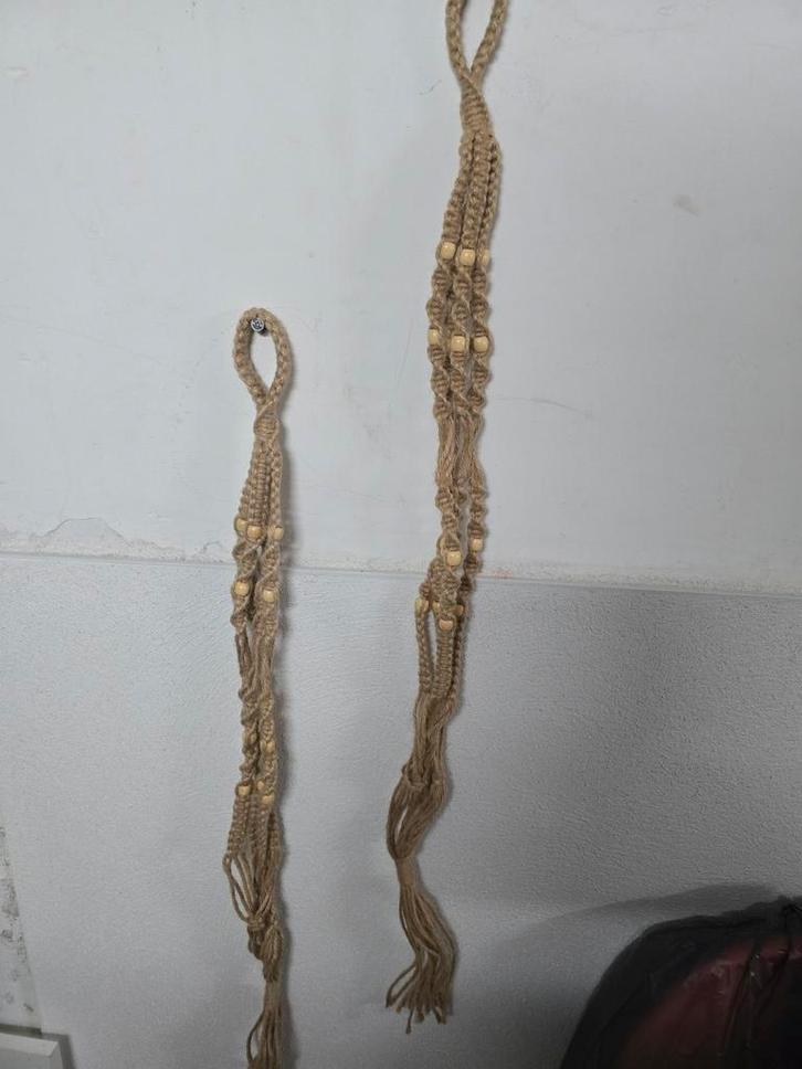 5 EURO PER ITEM VASTE PRIJS
100 CM LANG - INFO ZIE ADVERTENT, Huis en Inrichting, Kamerplanten, Minder dan 100 cm, Halfschaduw
