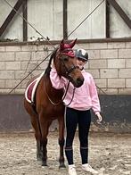 Verzorg paard/pony gezocht, Ophalen of Verzenden, Zo goed als nieuw