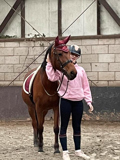 Verzorg paard/pony gezocht, Dieren en Toebehoren, Paarden en Pony's | Verzorgingsproducten, Zo goed als nieuw, Ophalen of Verzenden