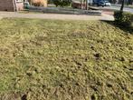 Verticuteer machine te huur 30 euro p/d, Tuin en Terras, Ophalen of Verzenden, Zo goed als nieuw, 20 m² of meer