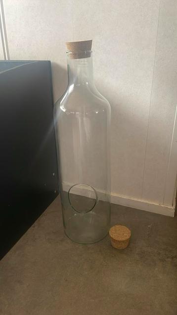 The green bottle planten fles met extra dop beschikbaar voor biedingen