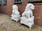 Exclusief!! Stel grote tuin beelden, wit marmeren leeuwen!!, Tuin en Terras, Tuinbeelden, Ophalen, Zo goed als nieuw