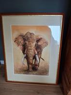 Groot aquarel Olifant van Anita Lutterop, Ophalen, Zo goed als nieuw, Schilderij, 75 cm of meer