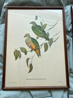 Reproducties vogels - bloemen, Antiek en Kunst, Ophalen of Verzenden