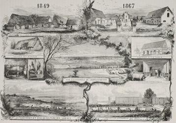 Landbouw 1849 - 1867 Antieke illustratie beschikbaar voor biedingen