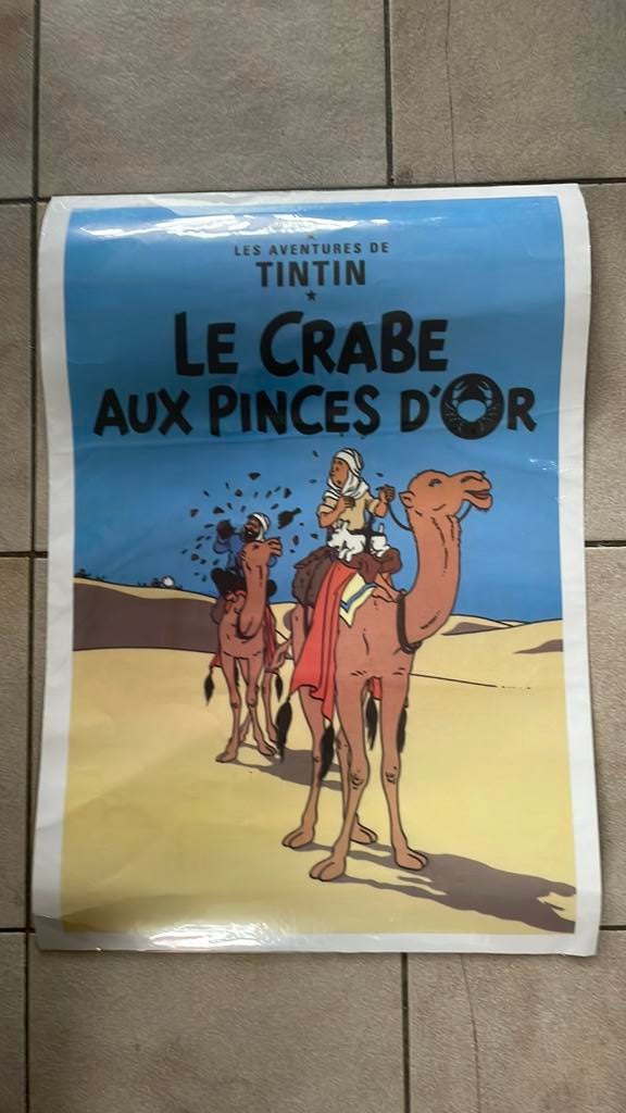 Poster Tin Tin kuifje, Ophalen of Verzenden, Zo goed als nieuw, A1 t/m A3, Film en Tv