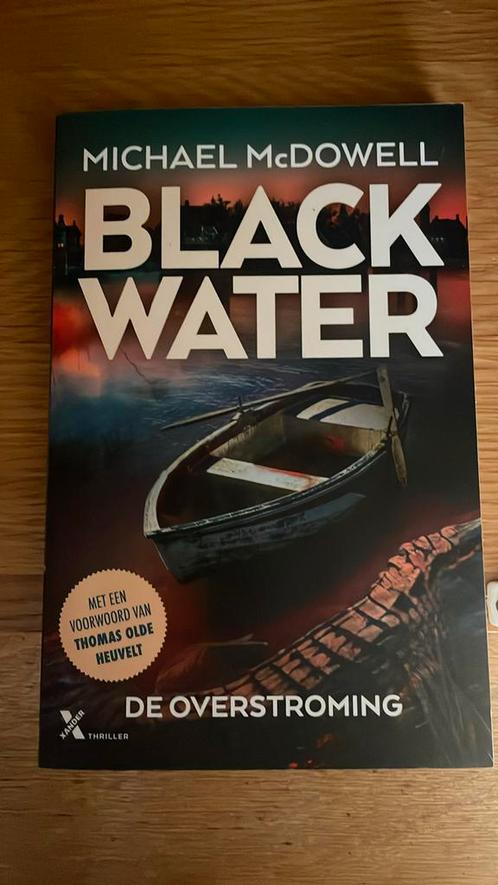 Michael McDowell - De overstroming, Boeken, Thrillers, Zo goed als nieuw, Nederland, Ophalen of Verzenden