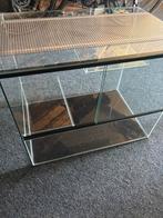 Caviakooi van glas, Minder dan 60 cm, Kooi, Minder dan 75 cm, Ophalen of Verzenden