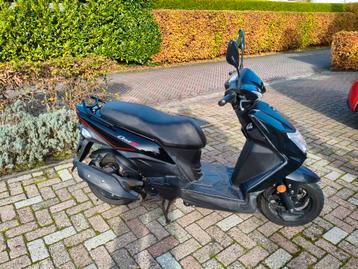 Sym Orbit 3 (03-2022) beschikbaar voor biedingen