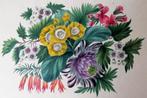 Aquarel met bloemen 19e eeuw, Ophalen of Verzenden