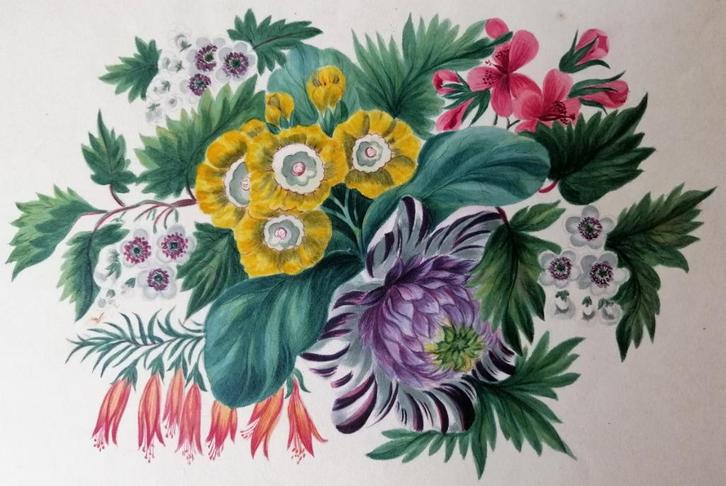 Aquarel met bloemen 19e eeuw, Antiek en Kunst, Kunst | Schilderijen | Klassiek, Ophalen of Verzenden