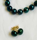 Parel Ketting & Oorbellen van Tahiti kleur Peacock Parel 14K, Ophalen of Verzenden, Nieuw, Goud
