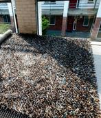 Prachtig hoogpolig wollen vloerkleed Brink & Campman, Ophalen, Gebruikt, Bruin, 200 cm of meer